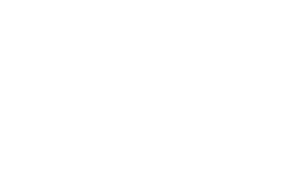 NSO logo