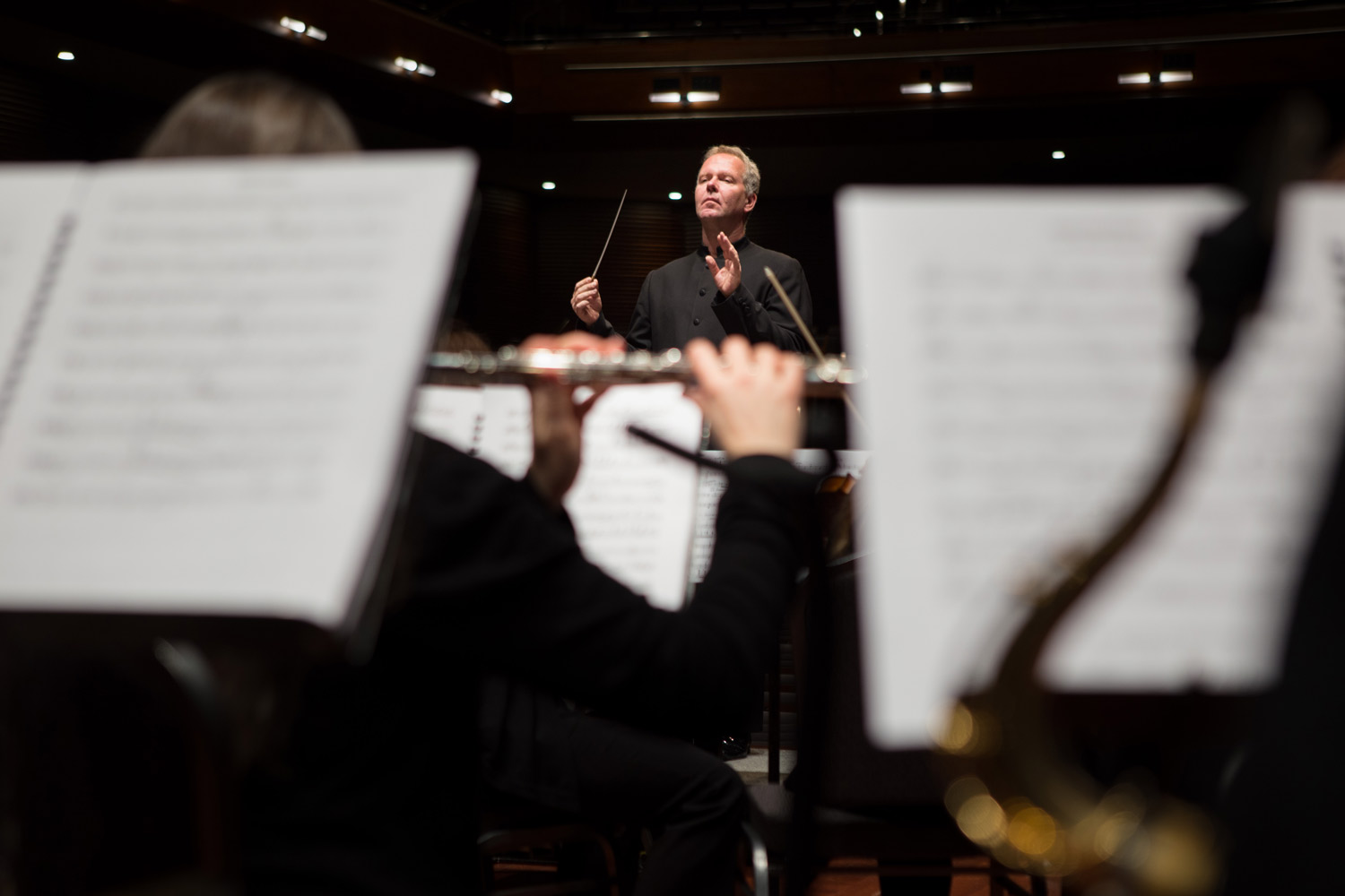 orchestra orchestra
