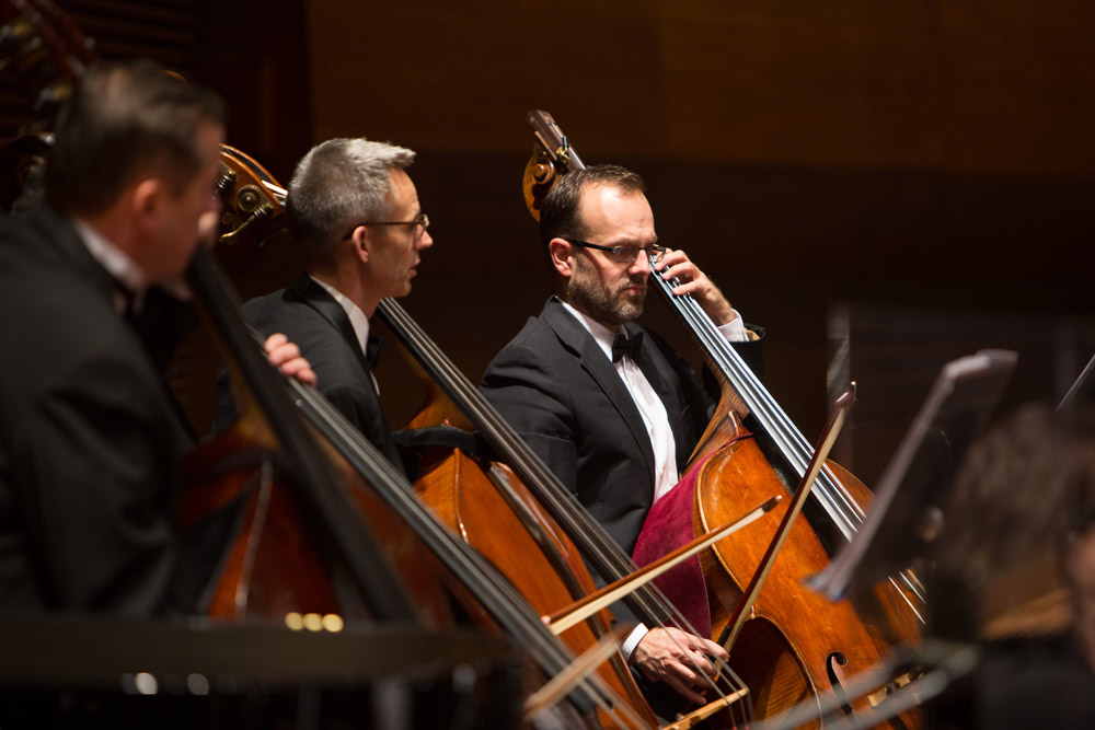 upright bass upright bass